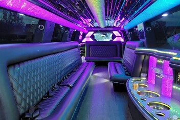 Flower Mound Limo Interior